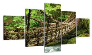 Obraz - most v přírodě (125x70cm)
