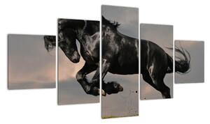 Černý kůň, obraz (125x70cm)