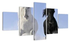 Koně, obraz (125x70cm)