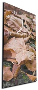 Nástěnné hodiny 30x60cm podzimní listí - plexi