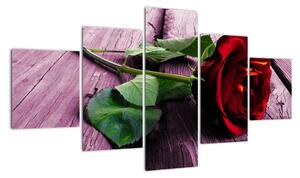 Ležící růže - obraz (125x70cm)