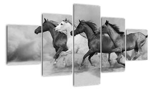 Obraz cválajících koňů (125x70cm)