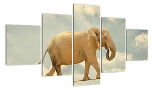 Slon na laně, obraz (125x70cm)
