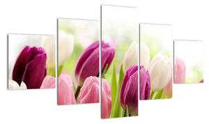 Tulipány, obrazy (125x70cm)