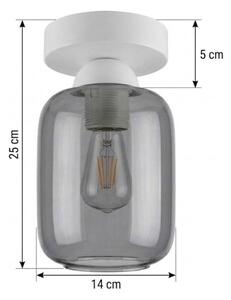 BRILAGI - LED Stropní svítidlo R GLASS 1xE27/60W/230V pr. 14 cm bílá/kouř šedá