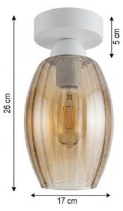 BRILAGI - LED Stropní svítidlo R GLASS 1xE27/60W/230V pr. 17cm bílá/kouř béžová