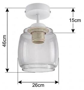 BRILAGI - LED Přisazený lustr R GLASS 1xE27/60W/230V pr. 26 cm bílá/kouř šedá
