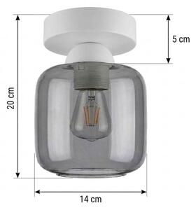 BRILAGI - LED Stropní svítidlo R GLASS 1xE27/60W/230V pr. 14 cm bílá/kouř šedá