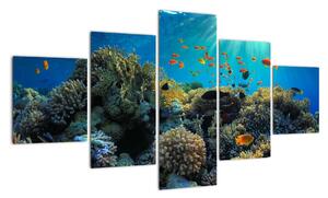 Obraz podmořského světa (125x70cm)