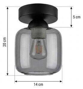 BRILAGI - LED Stropní svítidlo R GLASS 1xE27/60W/230V pr. 14 cm černá/kouř šedá