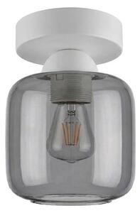 BRILAGI - LED Stropní svítidlo R GLASS 1xE27/60W/230V pr. 14 cm bílá/kouř šedá