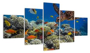 Obraz podmořského světa (125x70cm)