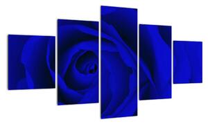 Detail modré růže - obraz (125x70cm)