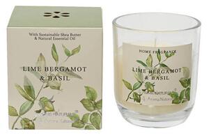 VONNÁ SVÍČKA bergamot, bazalka XXXL