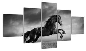 Obraz koně na stěnu (125x70cm)