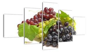Hroznové víno - obrazy (125x70cm)