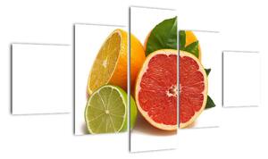 Citrusové plody - obraz (125x70cm)