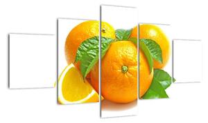 Pomeranče, obraz (125x70cm)