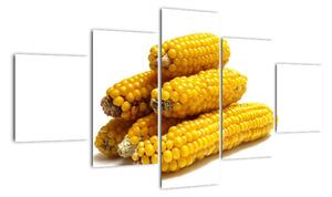 Kukuřice, obraz (125x70cm)
