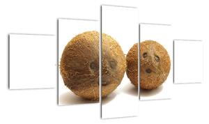 Kokosový ořech, obraz (125x70cm)