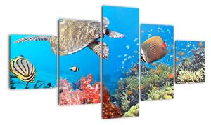 Podmořský svět, obraz (125x70cm)