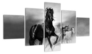 Černobílý obraz koňů (125x70cm)