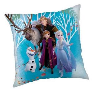 DEKORAČNÍ POLŠTÁŘ 40/40 cm XXXL - Dekorační polštáře