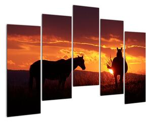 Obraz - koně při západu slunce (125x90cm)
