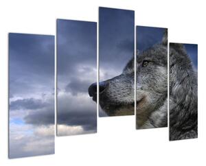 Obraz vlka (125x90cm)