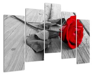 Obraz růže s červeným květem (125x90cm)