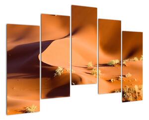 Obraz pouštích dun (125x90cm)