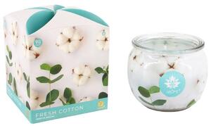 Arome Vonná svíčka ve skle Fresh Cotton, 90 g