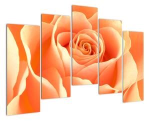 Obraz oranžové růže (125x90cm)