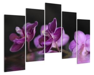 Obraz květů (125x90cm)