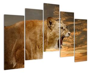 Obraz řvoucího lva (125x90cm)
