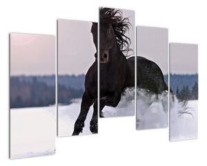 Obraz koně ve sněhu (125x90cm)