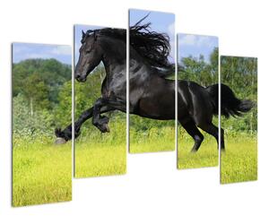 Obraz koně (125x90cm)
