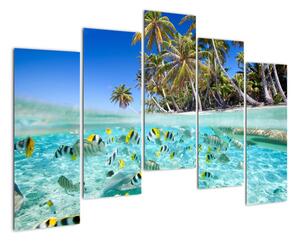 Obraz tropického moře (125x90cm)