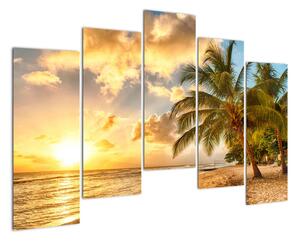 Obraz palmy na písečné pláži (125x90cm)