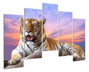 Obraz ležícího tygra (125x90cm)