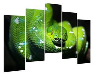 Obraz zvířat - had (125x90cm)