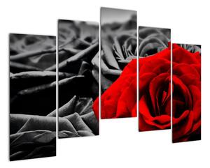 Obraz červené růže (125x90cm)