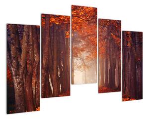 Podzimní les - obraz (125x90cm)