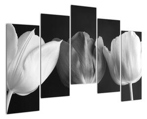 Černobílý obraz - tři tulipány (125x90cm)