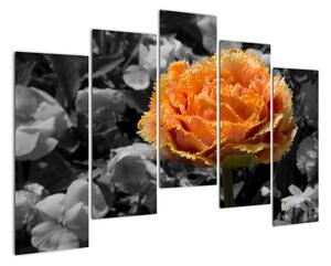 Oranžový květ na černobílém pozadí - obraz (125x90cm)