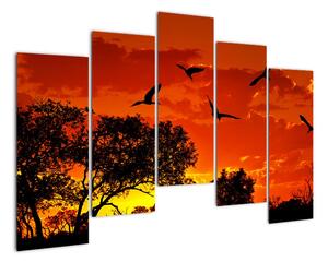 Obraz zapadajícího slunce s ptáky (125x90cm)