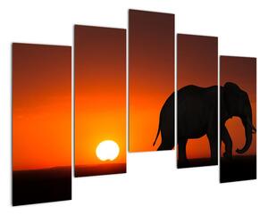 Obraz slona v zapadajícím slunci (125x90cm)