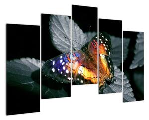 Motýl na listu - obraz (125x90cm)
