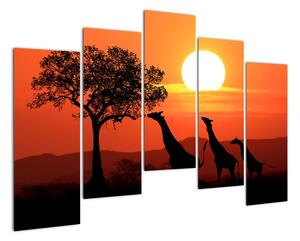 Obraz žirafy při západu slunce (125x90cm)