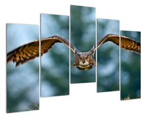 Obraz letící sovy (125x90cm)